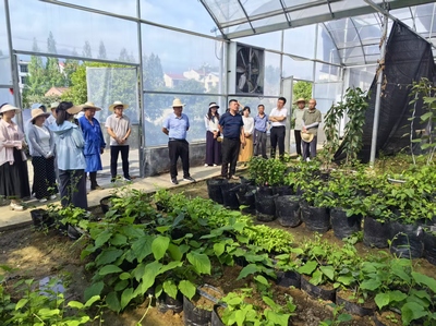 探索農(nóng)友9875 現(xiàn)代種植技術(shù)開發(fā)的動態(tài)與前景